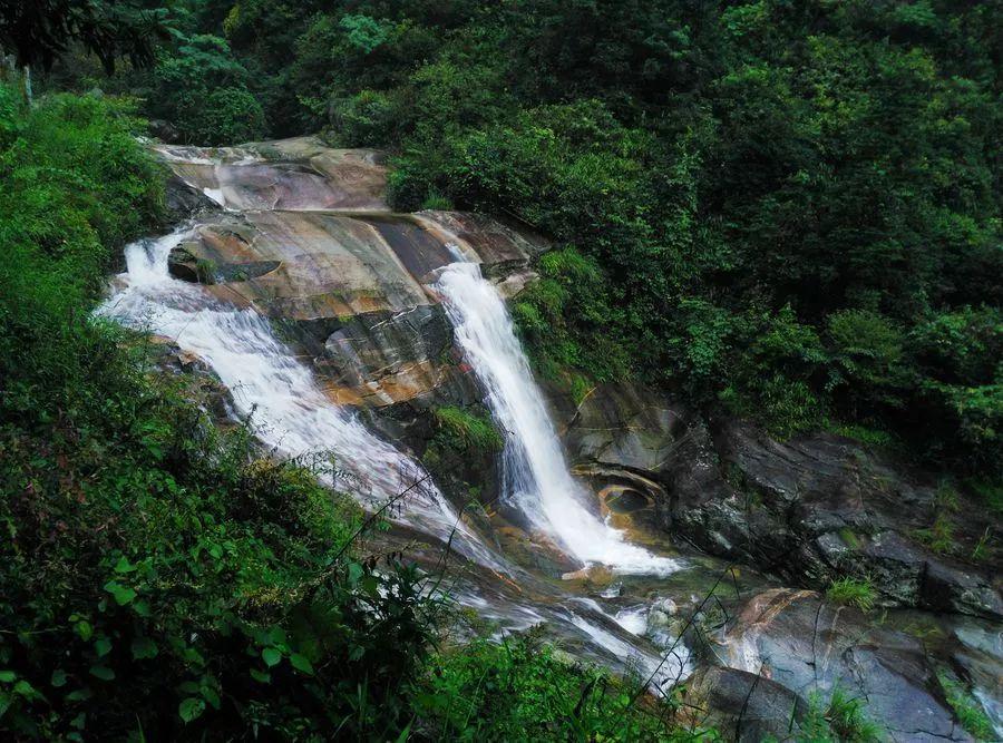 逃离宝藏岛屿